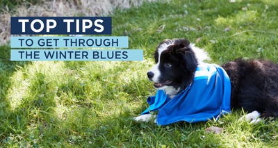 Top tips to get through the winter blues