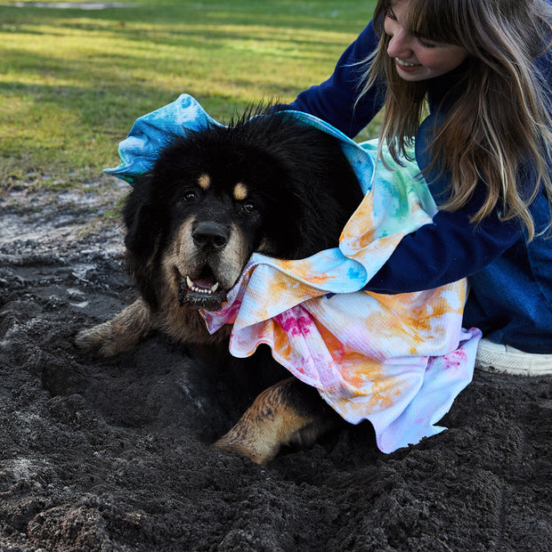 dock and bay towels dog