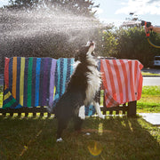 Dog & Bay - Towels for Pets - Bone Dry - Outlet