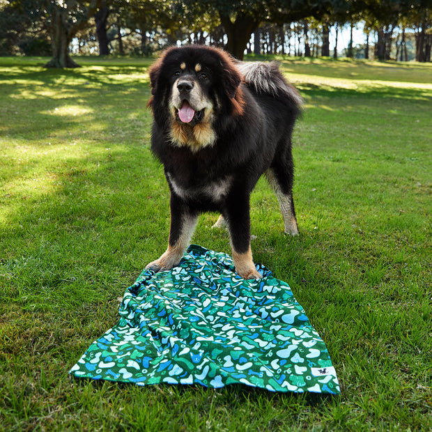 dock and bay towels dog