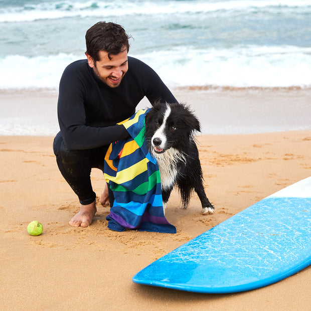 dock and bay towels dog