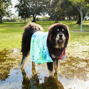 dock and bay towels dog