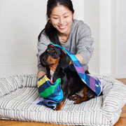 dock and bay towels dog