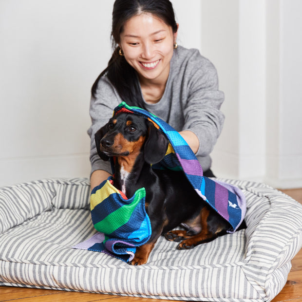 dock and bay towels dog