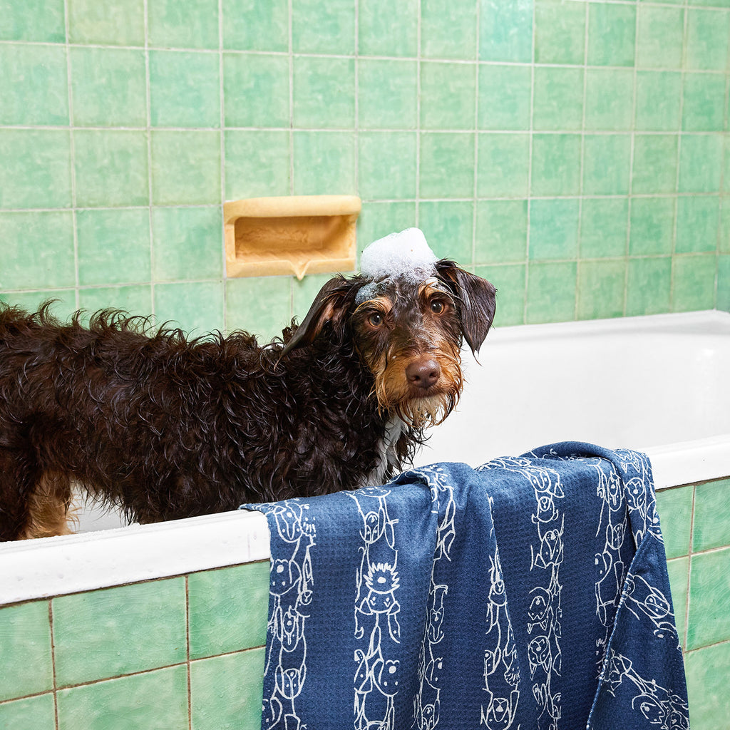 dock and bay towels dog