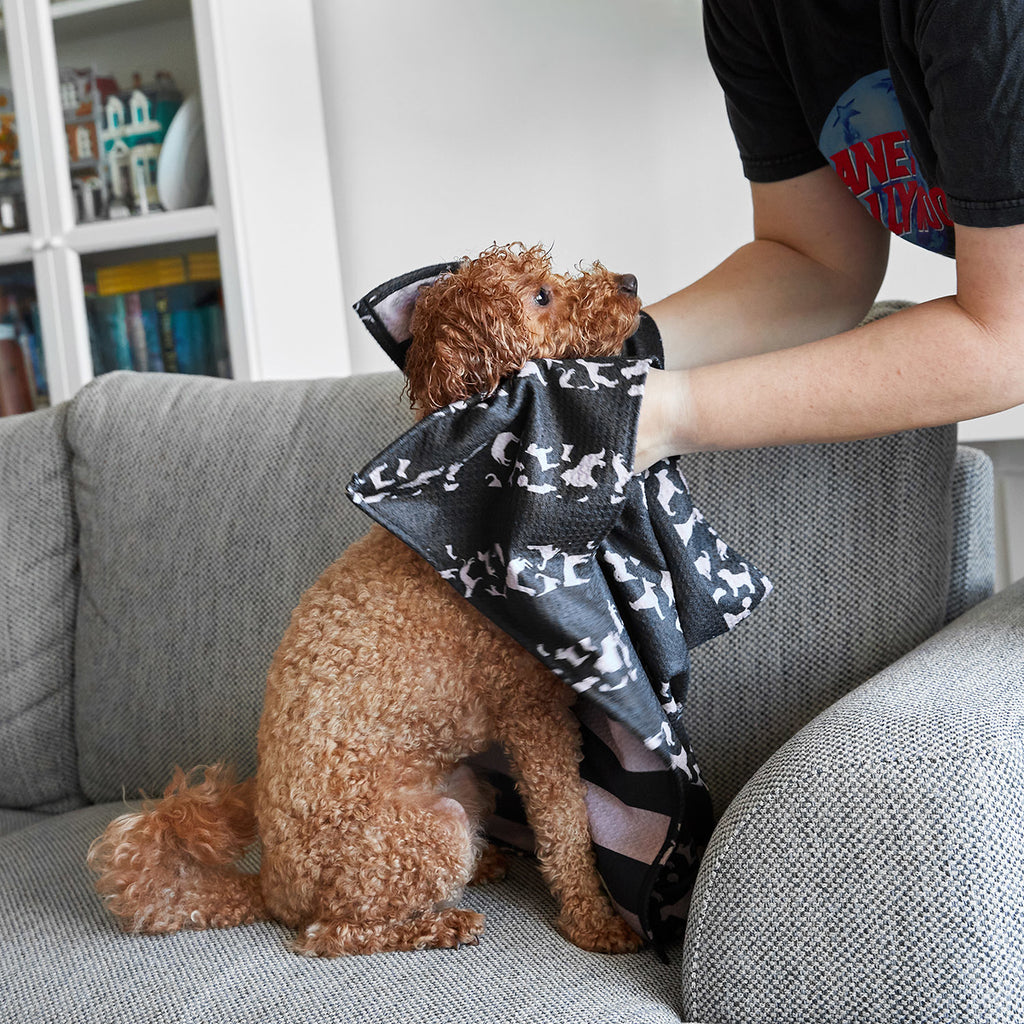 dock and bay dog towels