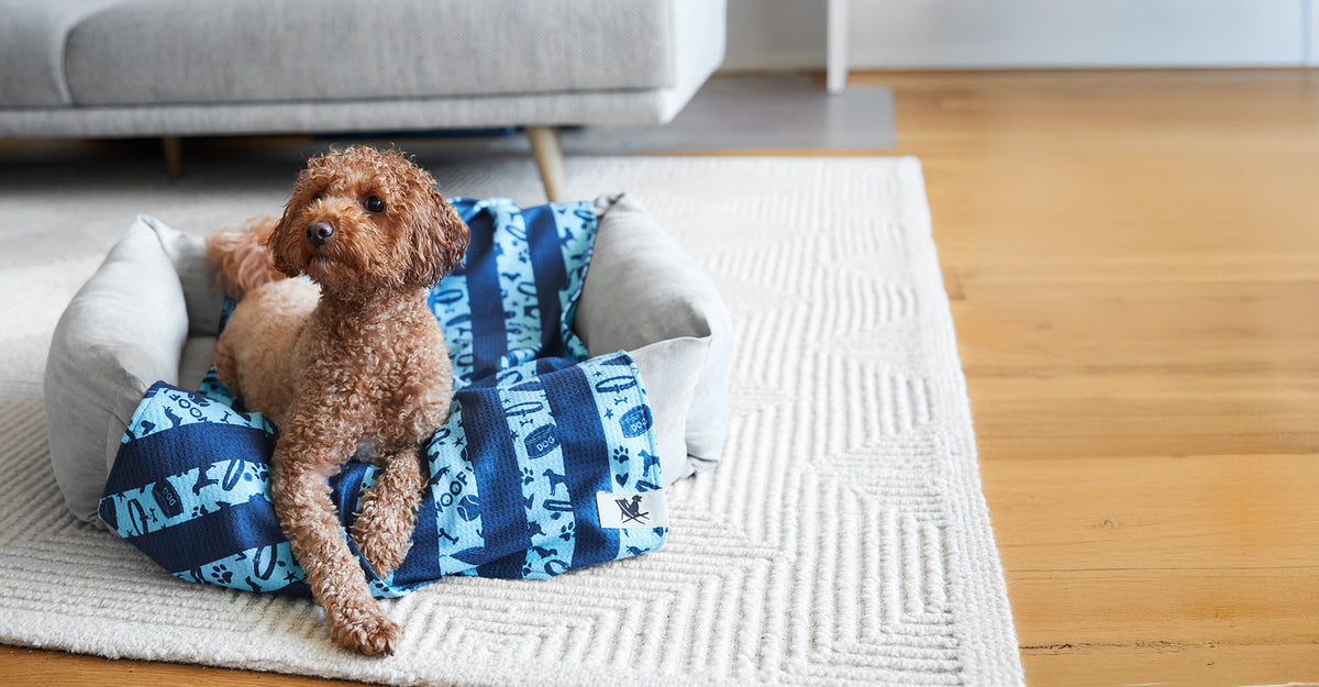 Dock & Bay Dog Towel - Bark Blue